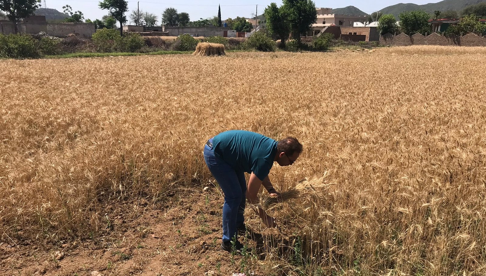 From Fields to a Hatchery
